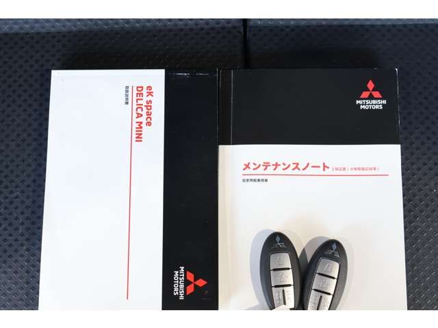 MITSUBISHI DELICA MINI 2024