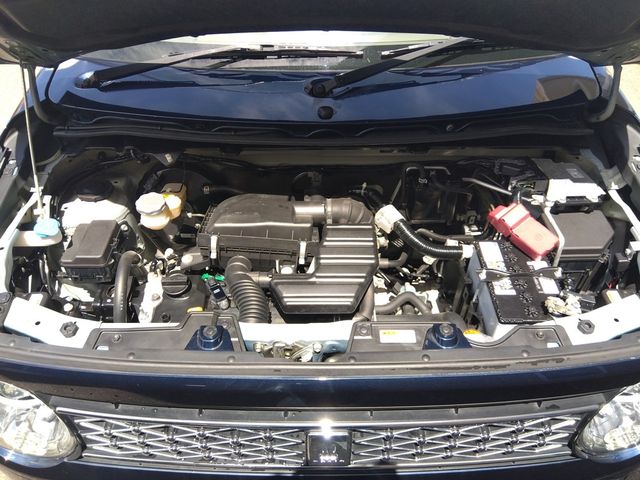 SUZUKI ALTO LAPIN 2019