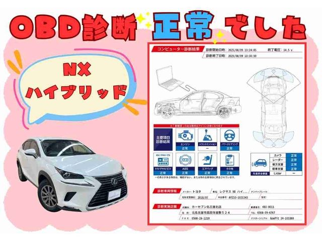 TOYOTA LEXUS NX300h 2018
