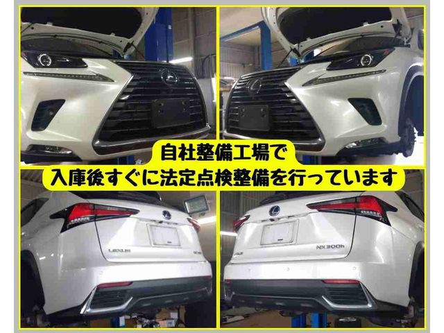 TOYOTA LEXUS NX300h 2018