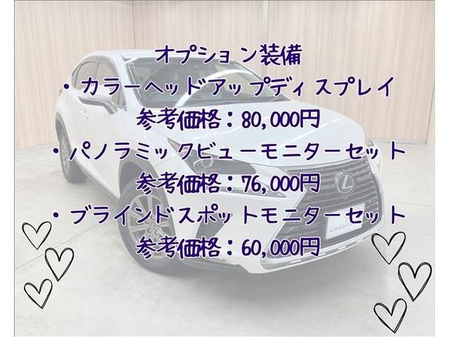 TOYOTA LEXUS NX300h 2018