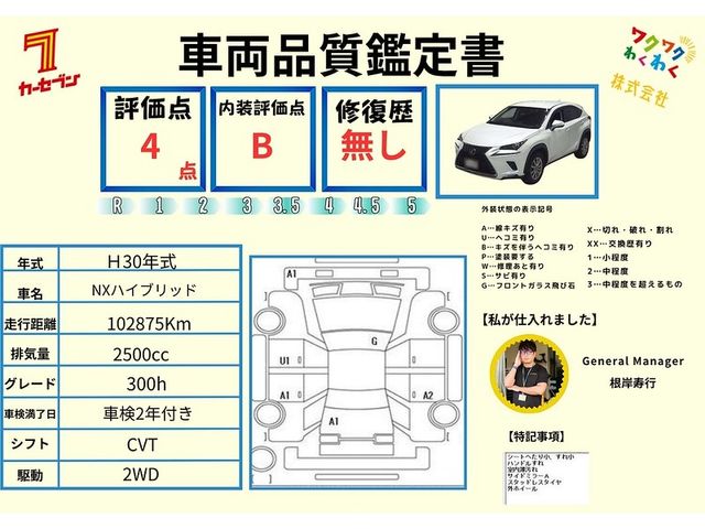 TOYOTA LEXUS NX300h 2018