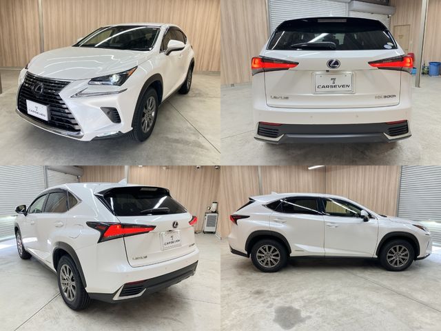 TOYOTA LEXUS NX300h 2018