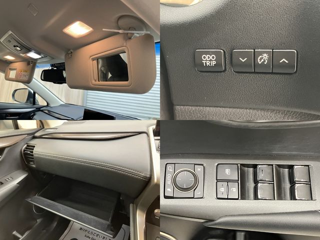 TOYOTA LEXUS NX300h 2018