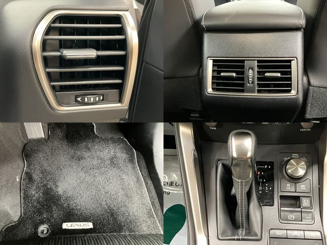 TOYOTA LEXUS NX300h 2018