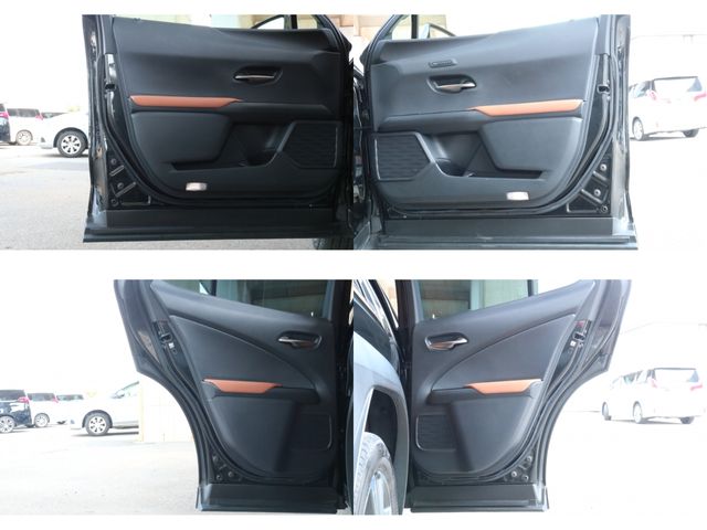 TOYOTA LEXUS UX250h 2018