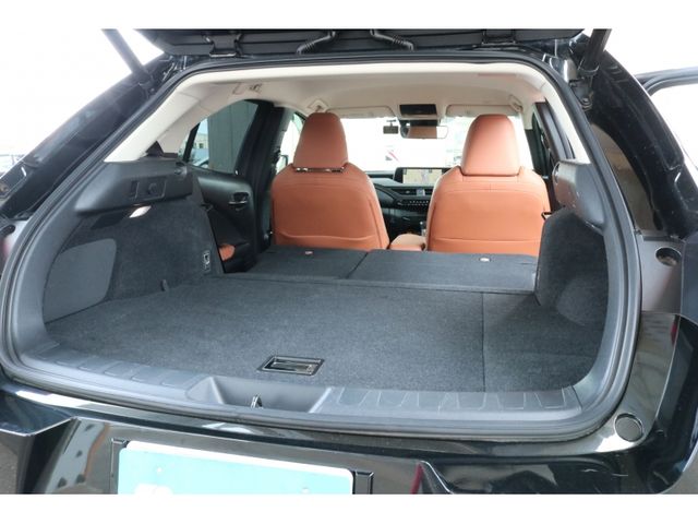 TOYOTA LEXUS UX250h 2018