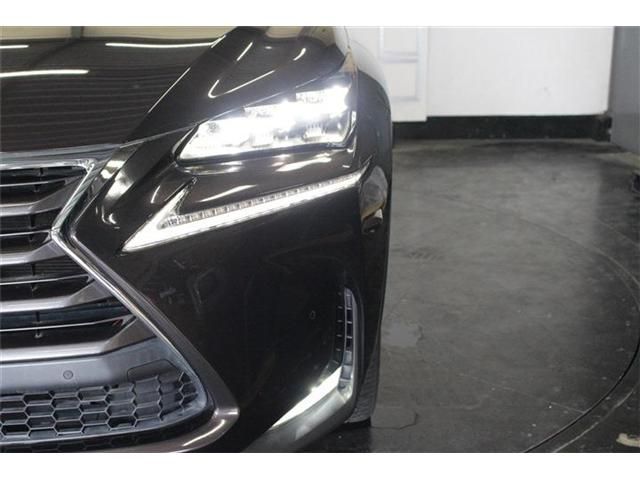 TOYOTA LEXUS NX300h AWD 2014