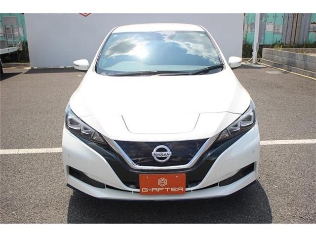 NISSAN LEAF 2019