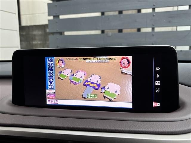 TOYOTA LEXUS RX450h 2WD 2022