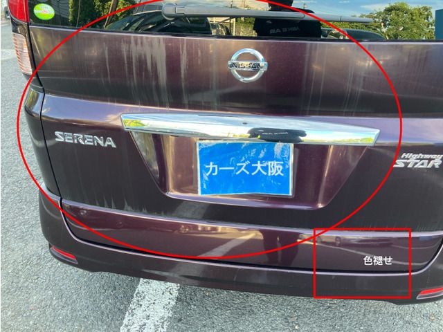 NISSAN SERENA  WG 2010