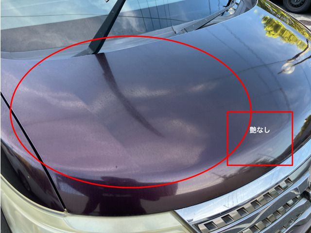 NISSAN SERENA  WG 2010