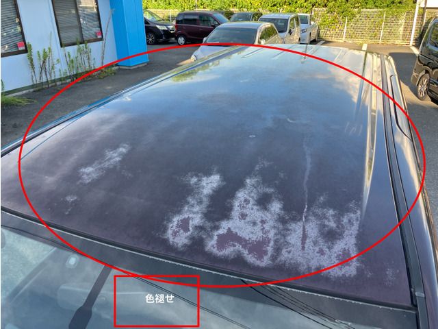 NISSAN SERENA  WG 2010