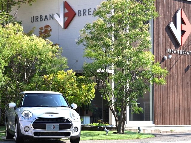 BMW BMW MINI COOPER S 2017