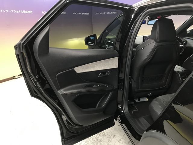 PEUGEOT PEUGEOT 3008 2019