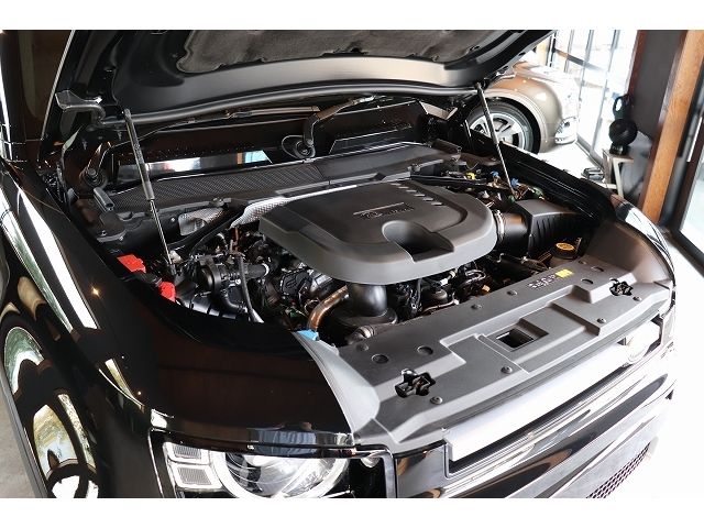 ROVER ROVER DEFENDER 2025