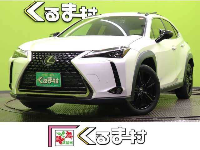 TOYOTA LEXUS UX250h 2021