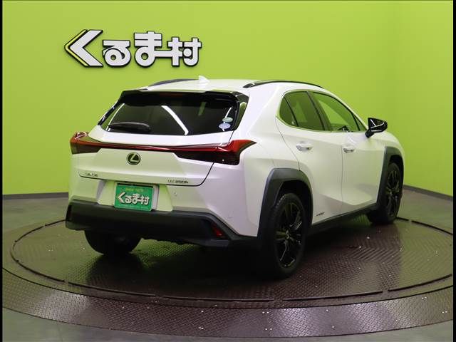 TOYOTA LEXUS UX250h 2021
