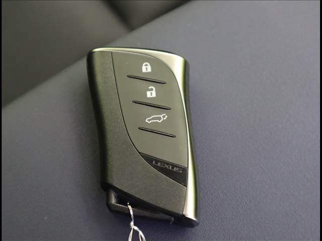 TOYOTA LEXUS UX250h 2021