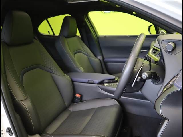 TOYOTA LEXUS UX250h 2021