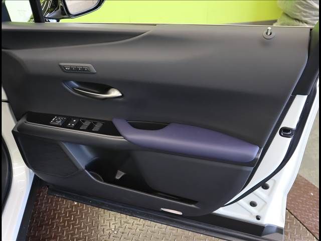 TOYOTA LEXUS UX250h 2021