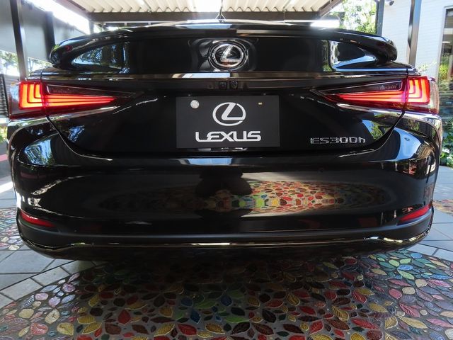 TOYOTA LEXUS ES300h 2023