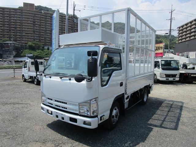 ISUZU ELF 2012