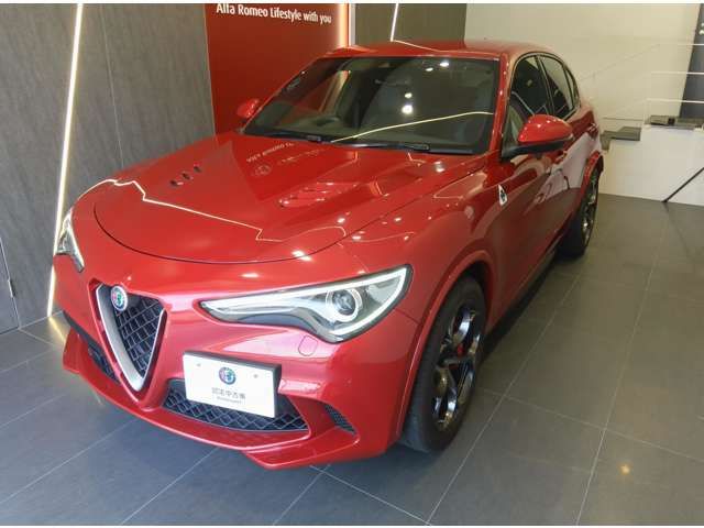 ALFAROMEO ALFAROMEO STELVIO 2019