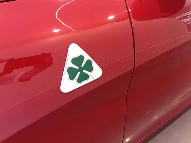 ALFAROMEO ALFAROMEO STELVIO 2019