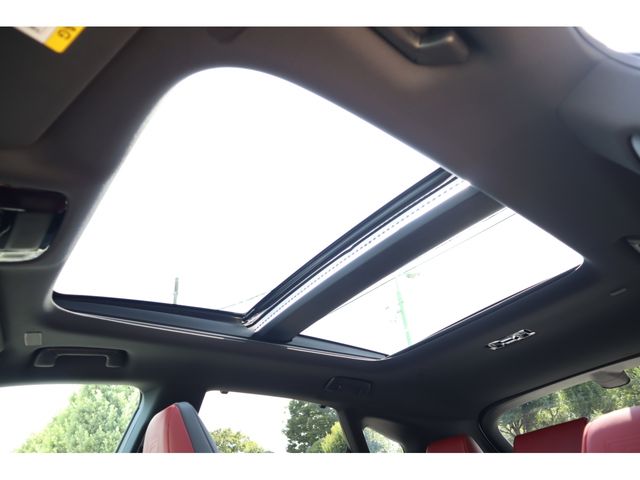 TOYOTA LEXUS RX500h 2023