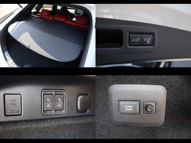 TOYOTA LEXUS RX500h 2023