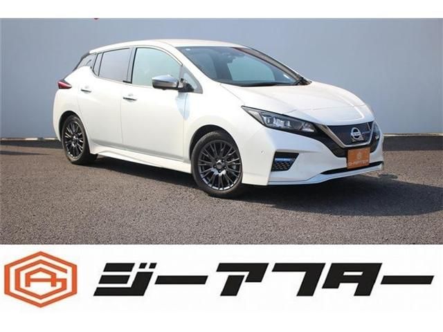 NISSAN LEAF 2020
