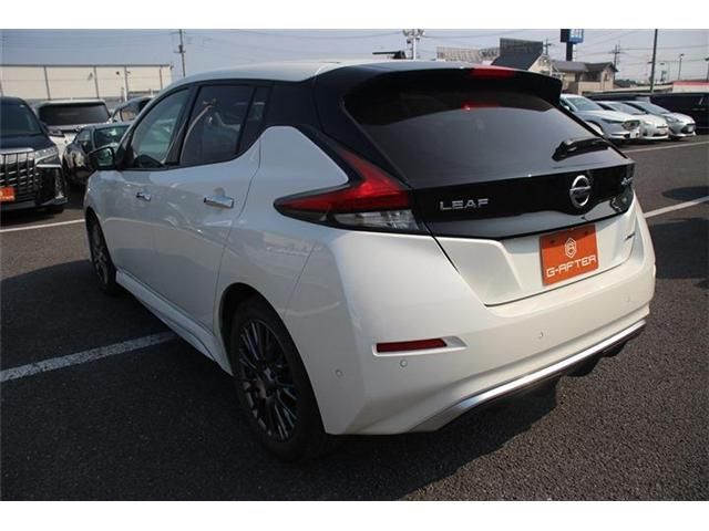 NISSAN LEAF 2020