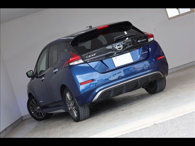 NISSAN LEAF 2020