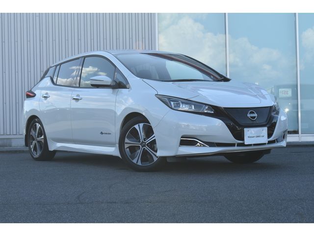NISSAN LEAF 2022