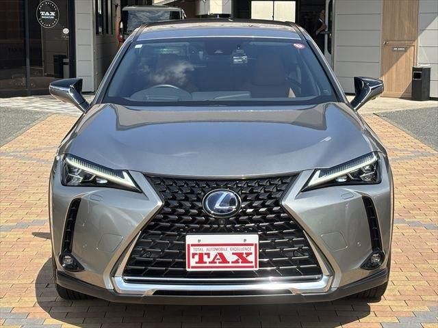 TOYOTA LEXUS UX250h 2020