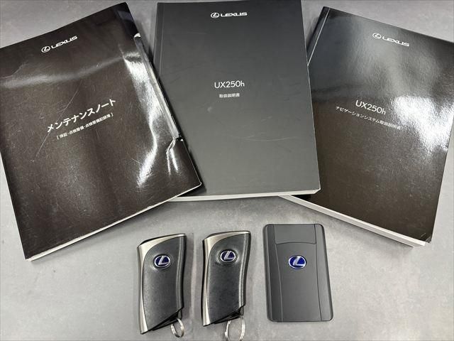 TOYOTA LEXUS UX250h 2020