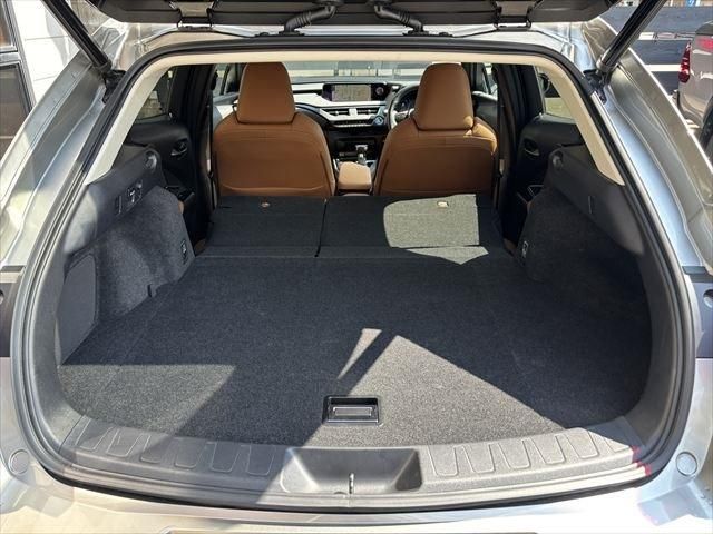 TOYOTA LEXUS UX250h 2020