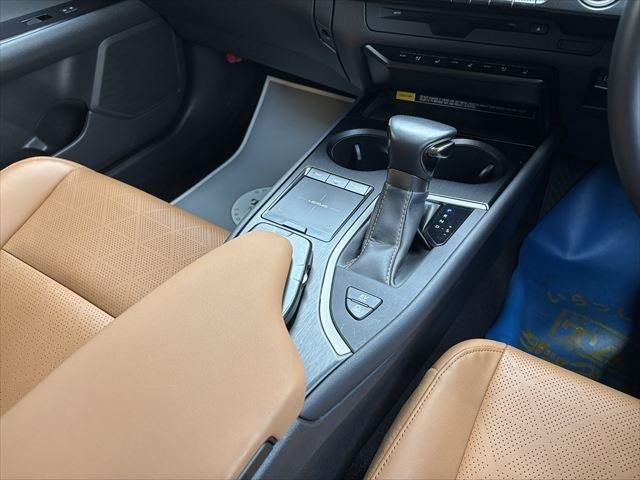 TOYOTA LEXUS UX250h 2020