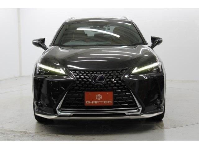 TOYOTA LEXUS UX250h 2018