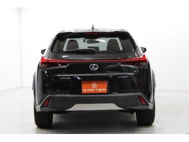 TOYOTA LEXUS UX250h 2018