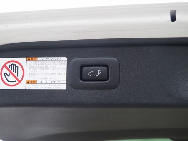 TOYOTA ALPHARD hybrid 4WD 2020