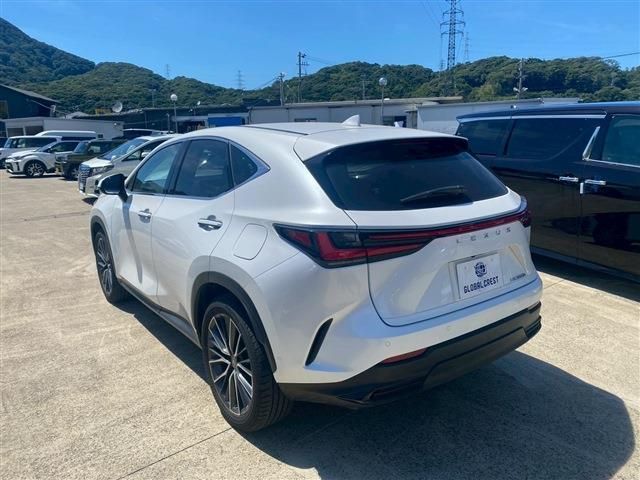 TOYOTA LEXUS NX350h 2024