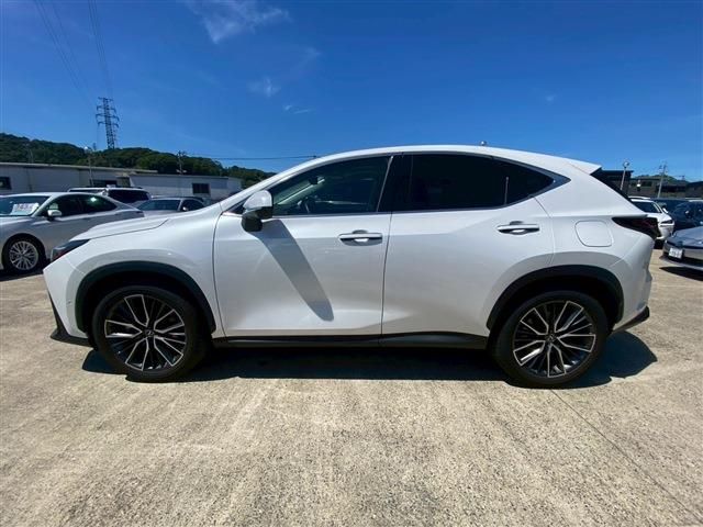 TOYOTA LEXUS NX350h 2024