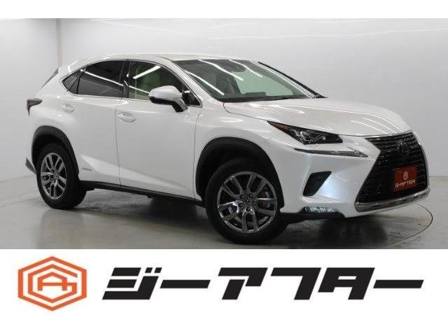 TOYOTA LEXUS NX300h 2018