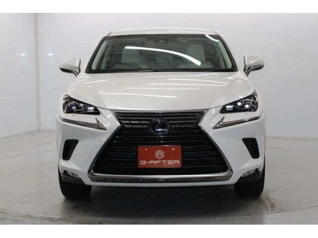 TOYOTA LEXUS NX300h 2018