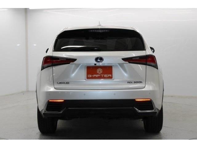TOYOTA LEXUS NX300h 2018