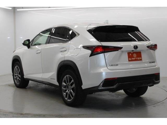 TOYOTA LEXUS NX300h 2018