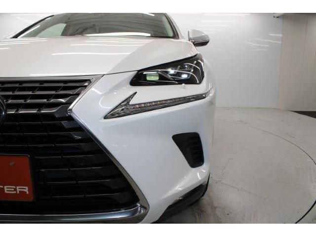 TOYOTA LEXUS NX300h 2018