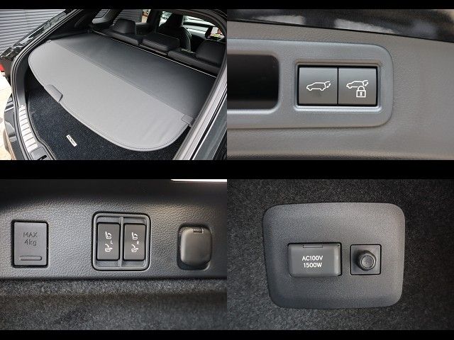 TOYOTA LEXUS RX500h 2023